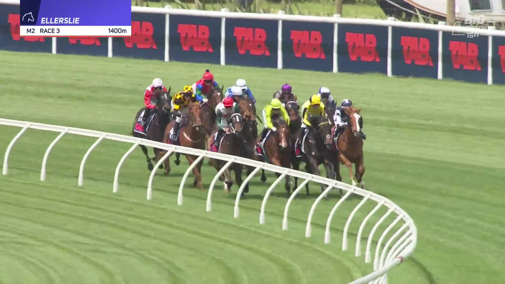 Ellerslie Race 3: 25-10-2025